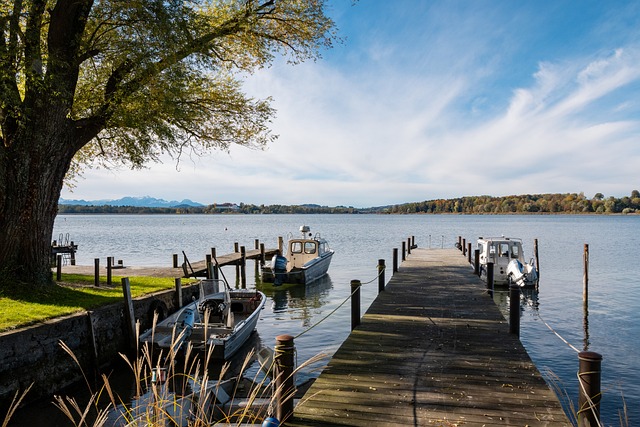 这些案例都 这些案例都