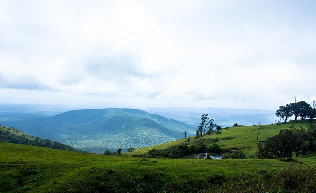 也让不少球 也让不少球