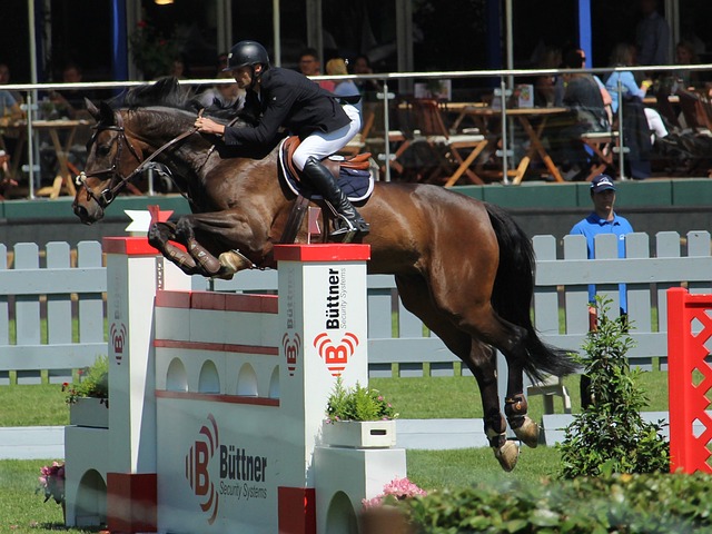 迪奧拉手下 迪奧拉手下