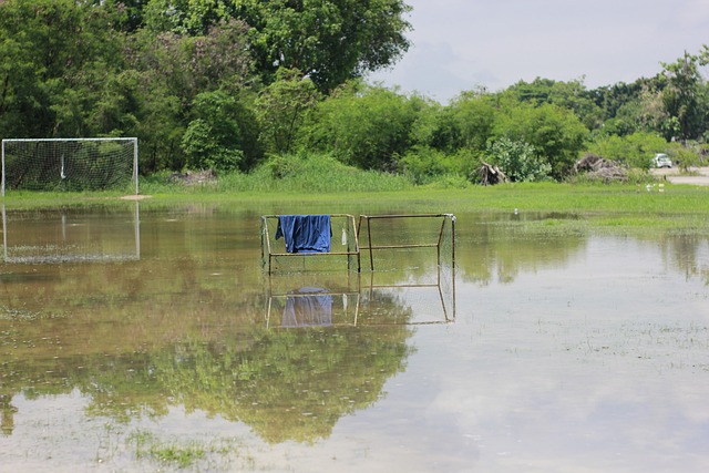 济注入了新 济注入了新