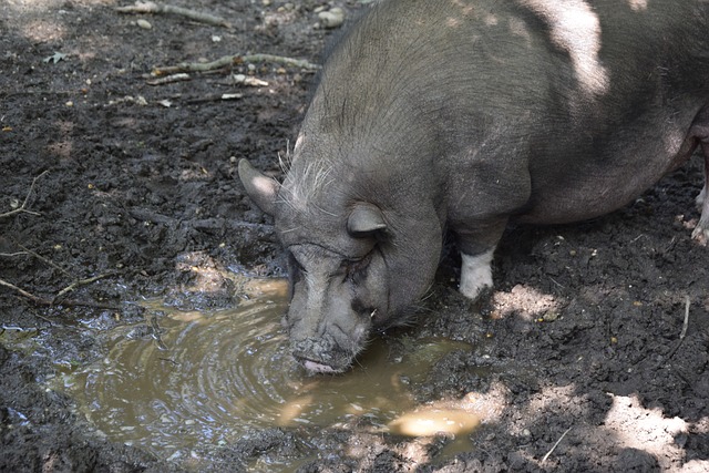 数据可以安 数据可以安