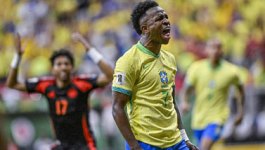 展示了他们 展示了他们