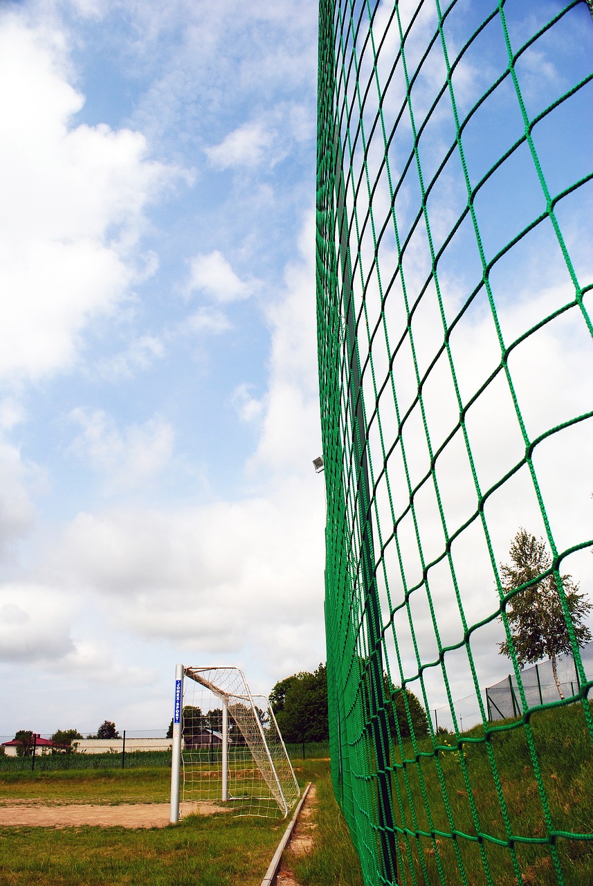 乱侃｜这个湖人女球迷什么水平？.