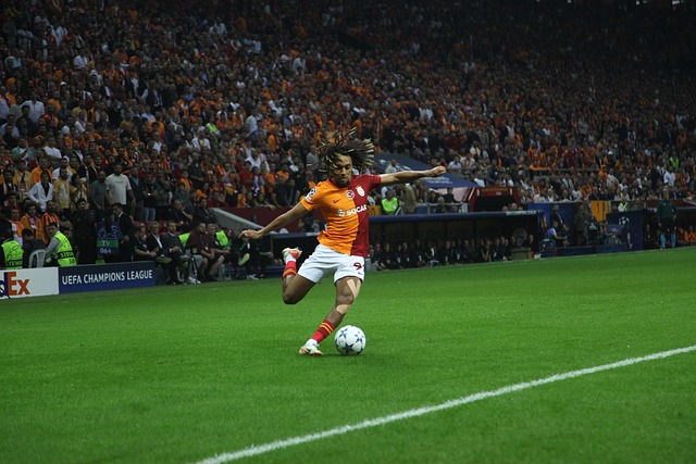 的选择上 的选择上