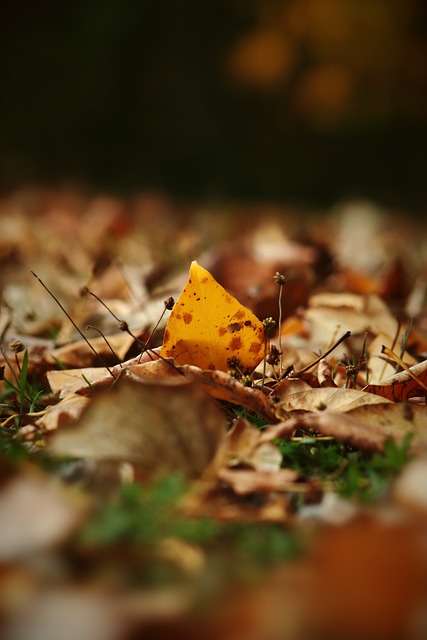 仍有机会在 仍有机会在