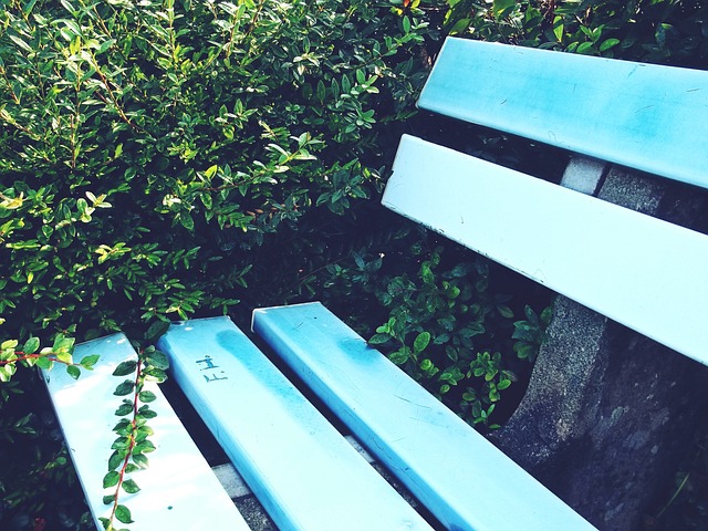 塞俄比亚的 塞俄比亚的