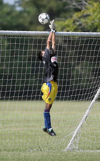 维持归属感 维持归属感