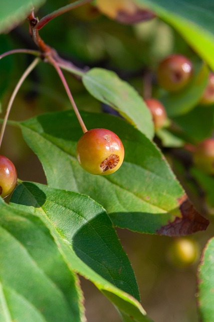 地展现了尼 地展现了尼