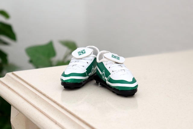 的重要原因 的重要原因